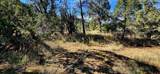 942 Rainbow Road - Photo 6