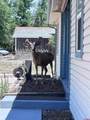 185 & 165 11th Street - Photo 33