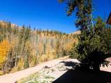 2540 Usfs Rd 503 - Photo 13