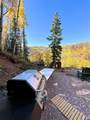 2540 Usfs Rd 503 - Photo 29