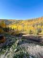 2540 Usfs Rd 503 - Photo 30