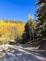 2540 Usfs Rd 503 - Photo 33