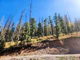 2540 Usfs Rd 503 - Photo 35