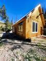 2540 Usfs Rd 503 - Photo 5