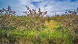 5041 Bloomfield Highway - Photo 2