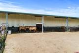 616 Cole Ranch Road - Photo 12