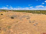 27980 Road T - Photo 35