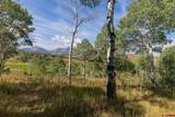 209 Knoll Estates Drive - Photo 43