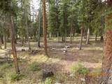 380 Forest Trail - Photo 12