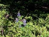 147 Ridge Road - Photo 14