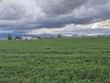 TBD County Road 4 E - Photo 3