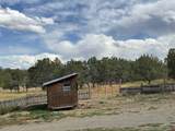 34706 Fruitland Mesa Road - Photo 41