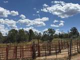 34706 Fruitland Mesa Road - Photo 43