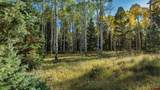 160 Crest Drive - Photo 21