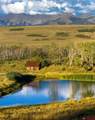 1006 Top Of The World Drive - Photo 1