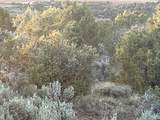 23755 Road 15.5 - Photo 37