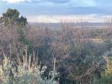 23755 Road 15.5 - Photo 39