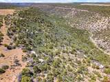 23755 Road 15.5 - Photo 6