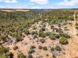 23755 Road 15.5 - Photo 7