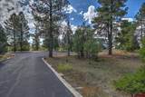 2913 Meadows Drive - Photo 42