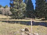 TBD Buckman Road - Photo 34
