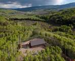 3750 County Road 737 Road - Photo 42