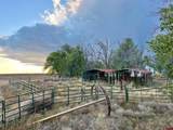22749 Hwy 491 - Photo 6