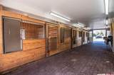 6220 Road 46 - Photo 41