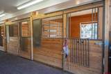 6220 Road 46 - Photo 42