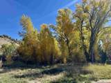 769 & 784 Bareback Lane - Photo 22