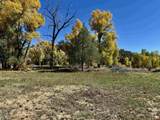 769 & 784 Bareback Lane - Photo 6