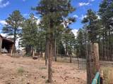47068 Sanborn Park Rd - Photo 43