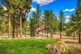 171 Squaw Canyon Place - Photo 44