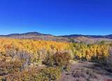 33339 Oak Mesa Road - Photo 16