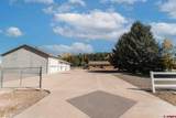 62201 Chu Chu Lane - Photo 34
