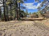 307 Deer Trail Road - Photo 2