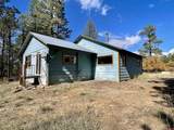 307 Deer Trail Road - Photo 6