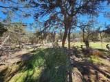 242 Fir Avenue - Photo 18