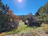 242 Fir Avenue - Photo 35