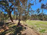 242 Fir Avenue - Photo 7