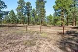 TBD Vaquero Way - Photo 14