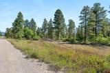 TBD Vaquero Way - Photo 17