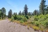 TBD Vaquero Way - Photo 19