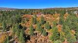 1250 Mckenzie Springs Road - Photo 19
