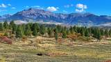 1250 Mckenzie Springs Road - Photo 42