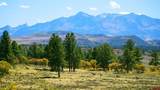 1250 Mckenzie Springs Road - Photo 7