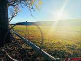 14951 & 14594 Cliffside Road - Photo 27