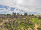 63645 Highway 491 - Photo 28