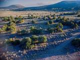 Block 10 Lot 1 Conejos Trails Rd - Photo 1