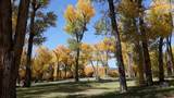 Block 10 Lot 1 Conejos Trails Rd - Photo 2